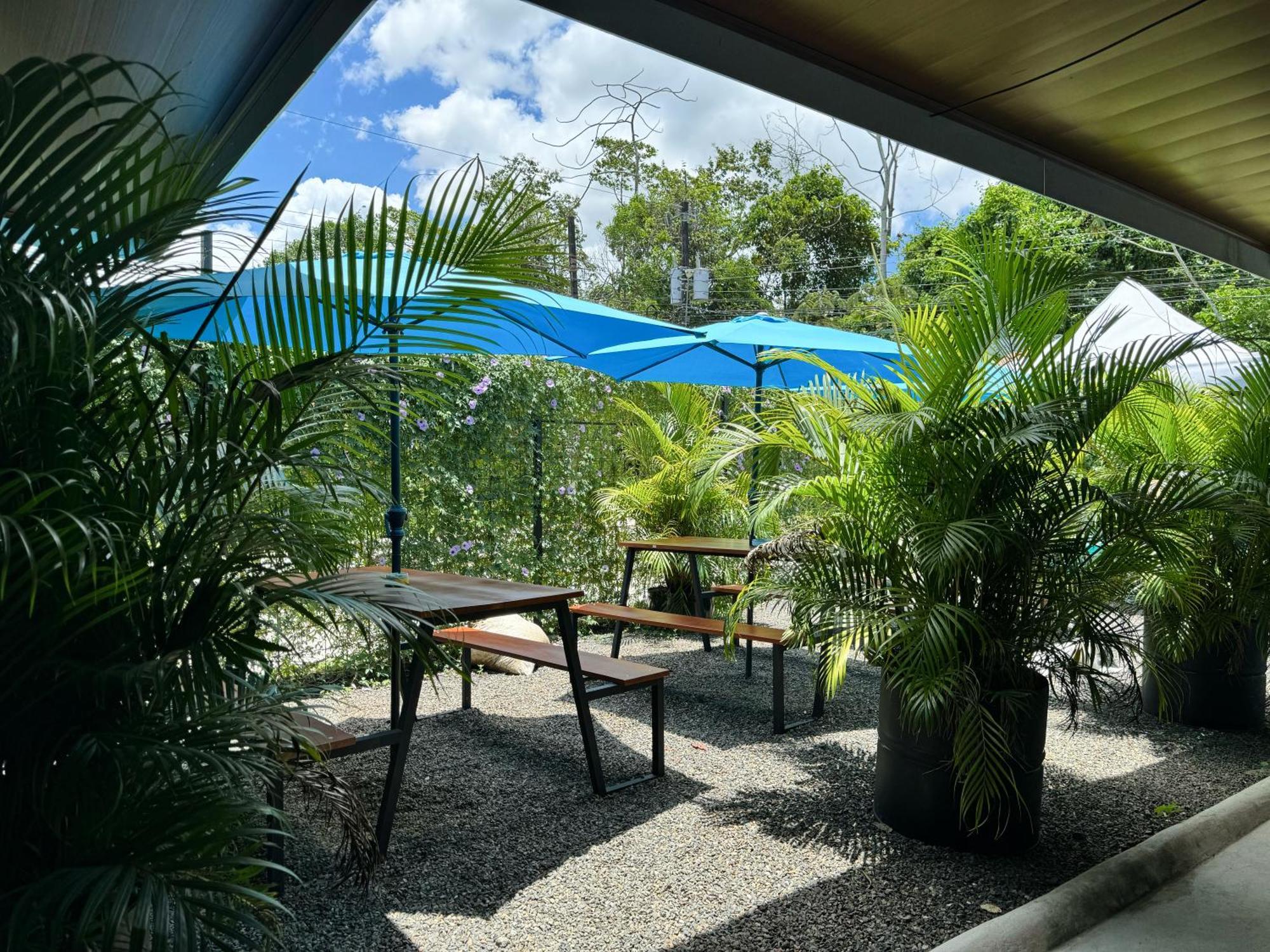 Pura Vibra Hostel La Fortuna Dış mekan fotoğraf