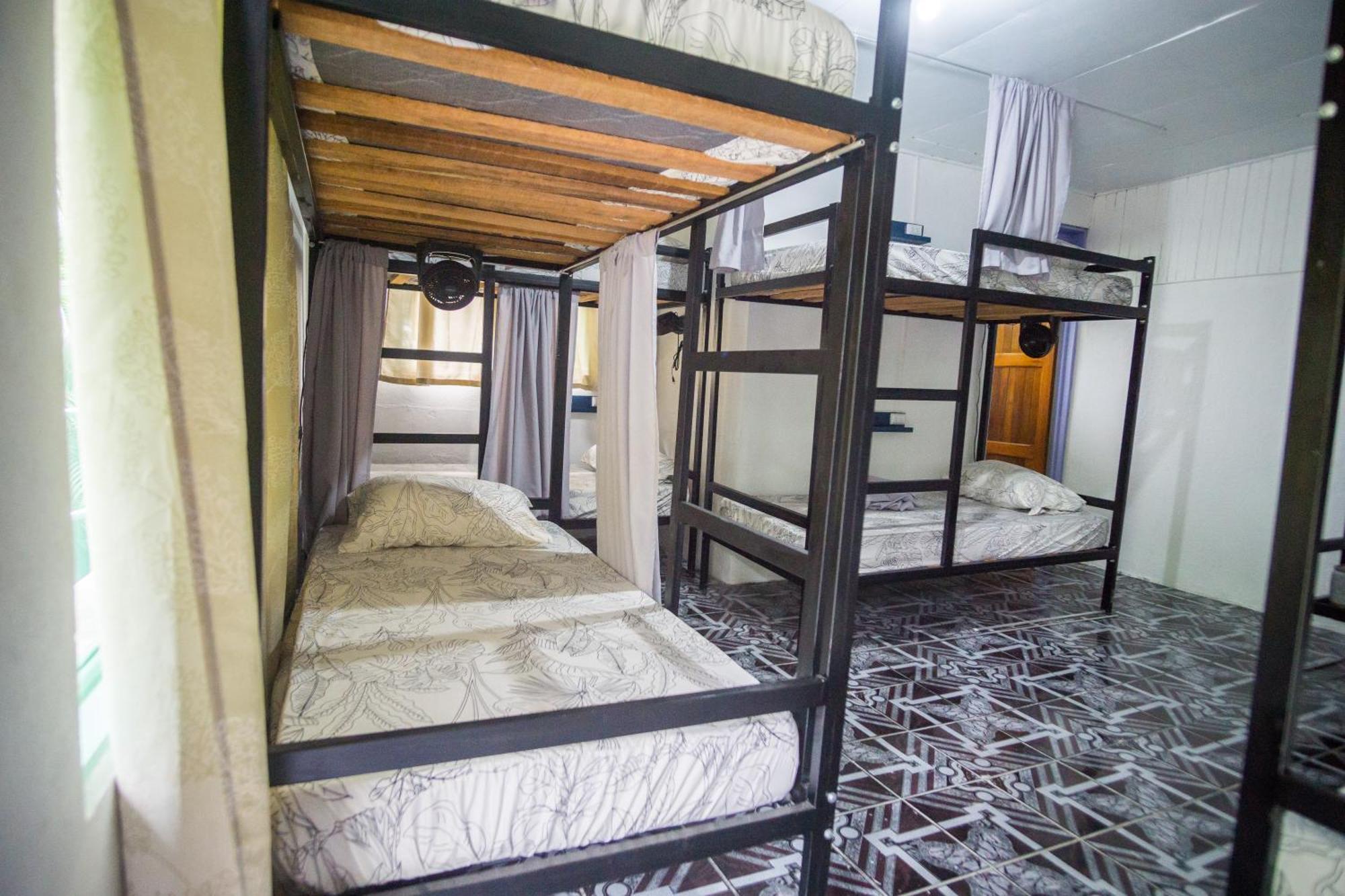 Pura Vibra Hostel La Fortuna Oda fotoğraf